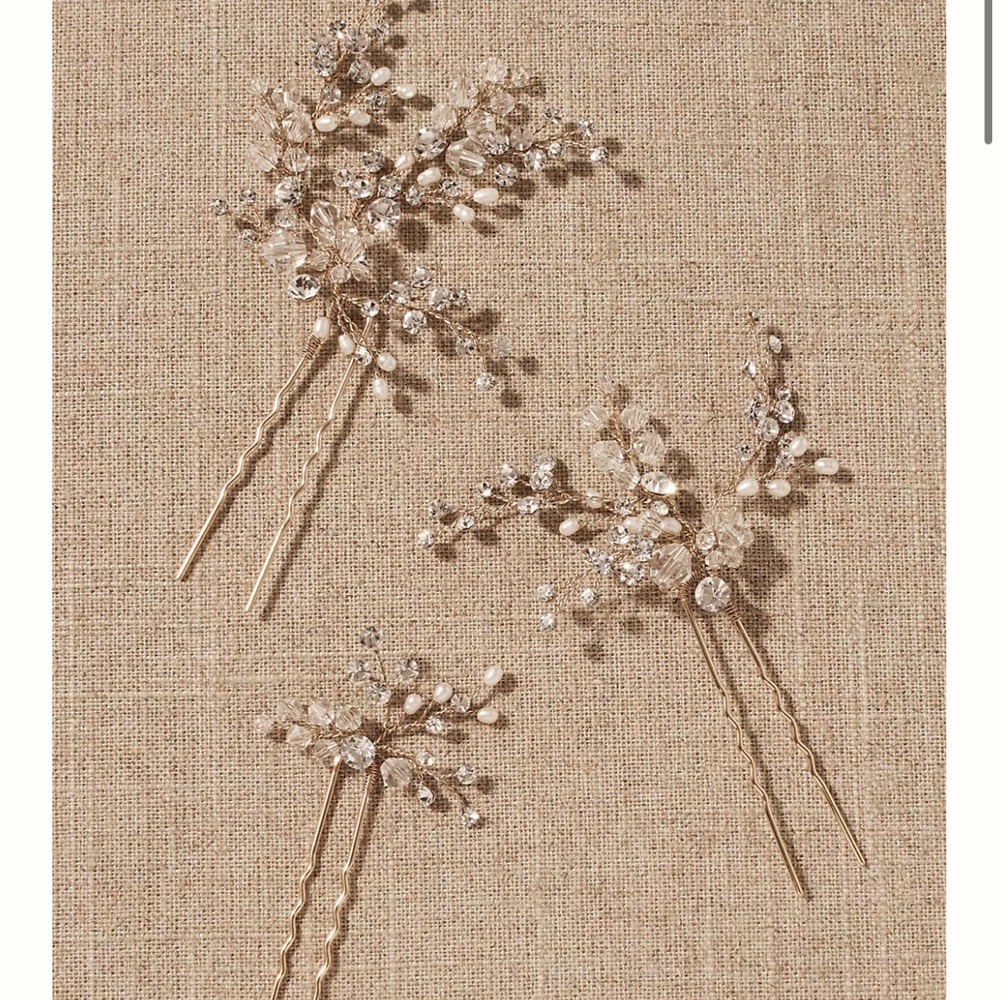 BHLDN twig and honey hair pin set